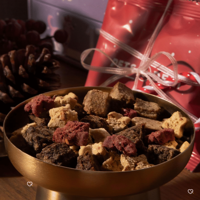 Pets Deli Adventskalender 2025 Lifestyle mit Hudnefutter und Snacks für 24 Tage fur hunde