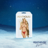EIS Premium Adventskalender 2025 mit 24 erotischen Überraschungen, luxuriöser Box für sinnliche Vorfreude in der Adventszeit.