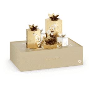 Rituals Premium Adventskalender 2025 mit 25 luxuriösen Beauty- und Wellness-Überraschungen in edler festlicher Box.
