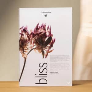 Dr. Hauschka Adventskalender 2026 bliss, aufgestellte Box