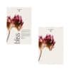 Dr. Hauschka Adventskalender 2026 bliss, Vorder- und Rückseite