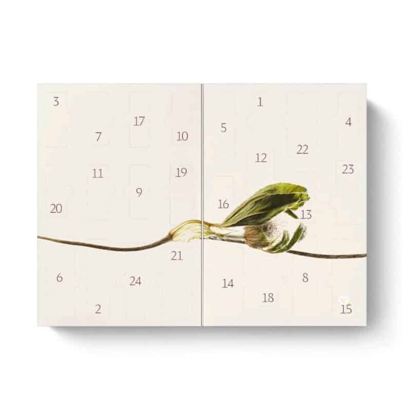 Dr. Hauschka Adventskalender 2026 geöffnet, 24 Türchen