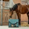 Braunes Pferd beschnuppert den Horsebrands Adventskalender 2026 im Stall
