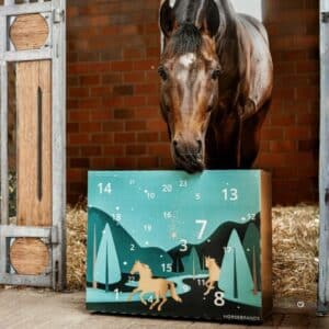 Pferd schnuppert am Horsebrands Adventskalender 2026 vor einer Backsteinbox im Stall