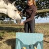 Reiterin fuettert einen Schimmel, Horsebrands Adventskalender 2026 im Vordergrund