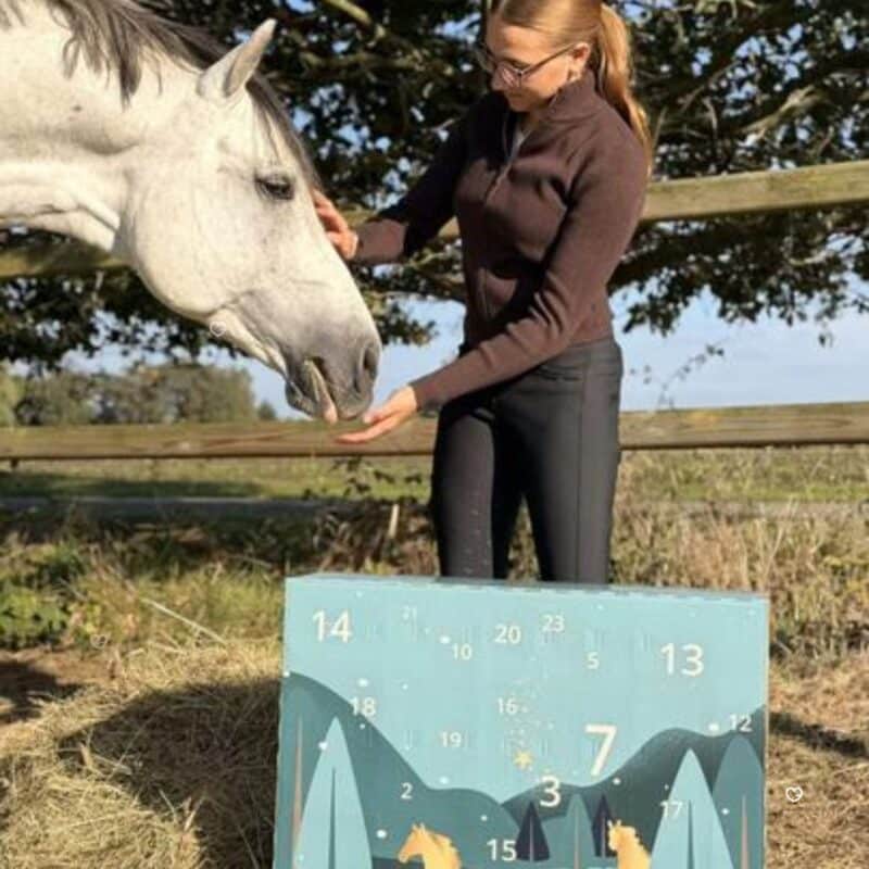 Reiterin fuettert einen Schimmel, Horsebrands Adventskalender 2026 im Vordergrund